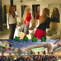 What is real v0.95 - 何为真实【360或谷歌浏览器翻译】