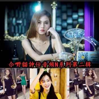 尒嘢貓訷仕音頻N系列第二辑_N306-599